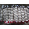 Small Mesh Bag Packing Pure White Garlic